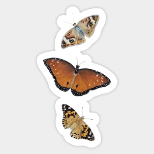 Butterflies Sticker